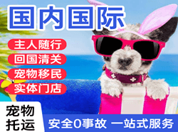 乌鲁木齐航空物流国际宠物托运 【国
